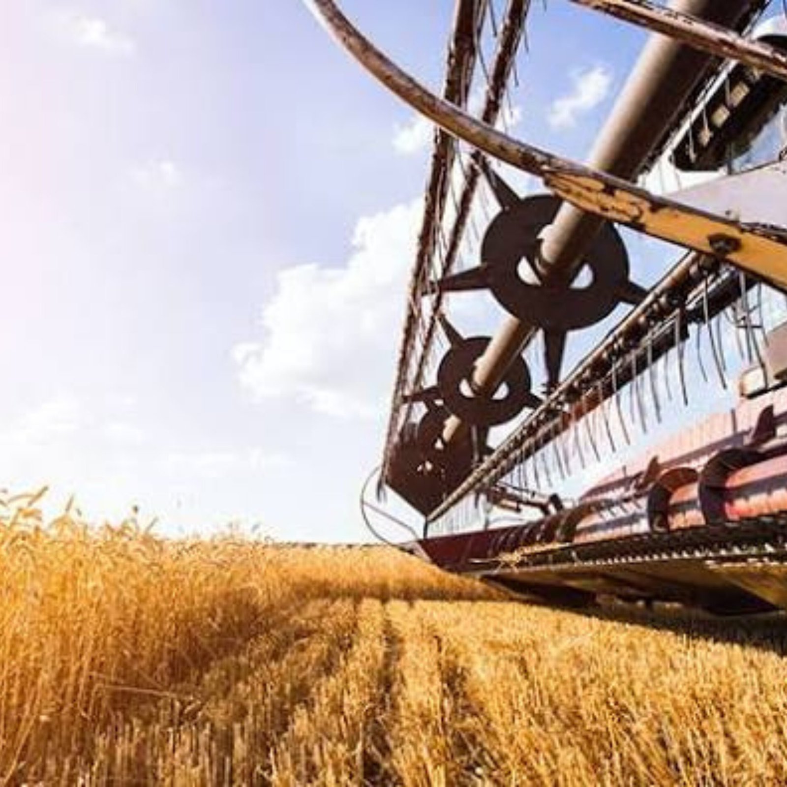 AGROINDÚSTRIA